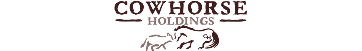 CowHorse Holdings – 5 Star 100% Wool Pad & Martin Saddlery Barrel Saddles